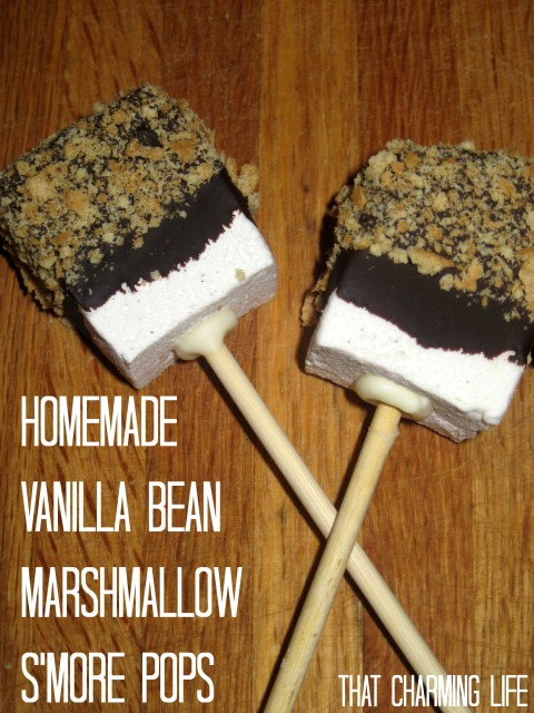 Homemade Vanilla Bean Marshmallow S'more Pops.